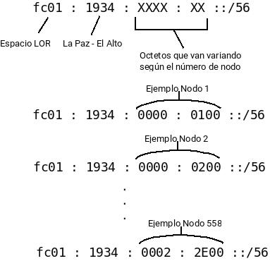 segmentación IPv6